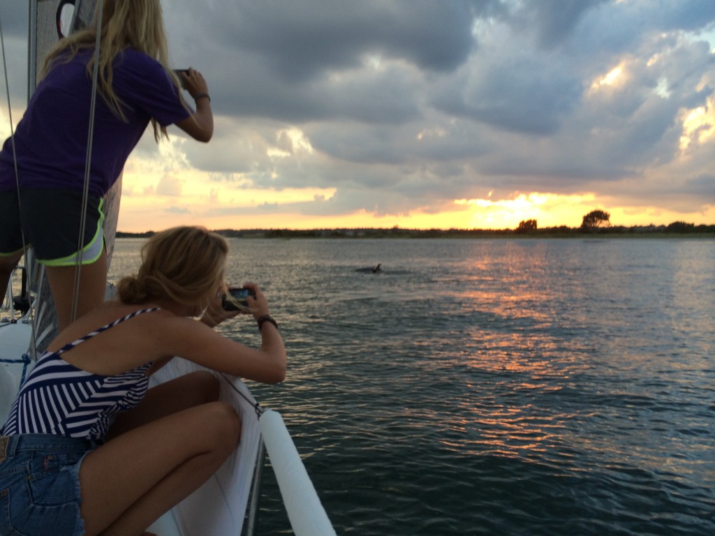 Sunset Sailing Wrightsville Beach Dolphin sighting